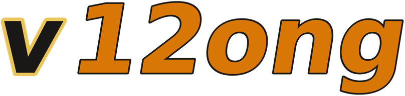 v12ong logo